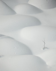 Similar image 522600