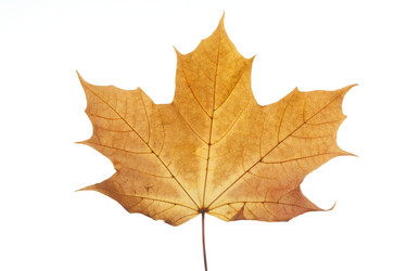 Similar image 522604