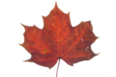 Similar image 522608