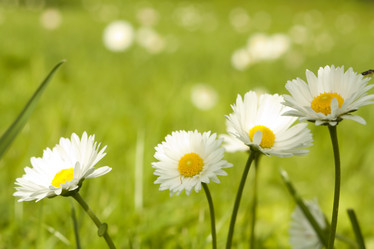 Similar image 522609