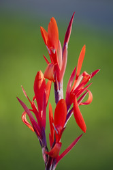 Similar image 522618