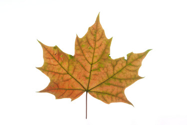 Similar image 522634