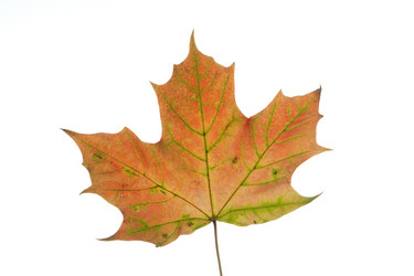 Similar image 522635