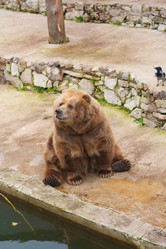 Similar image 522677