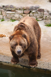 Similar image 522682