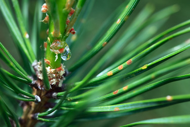 Similar image 522728