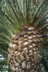 Similar image 522745