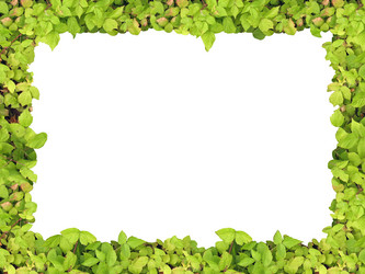 Similar image 522755