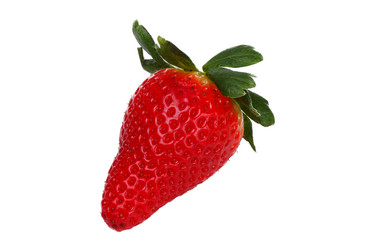 Similar image 522769