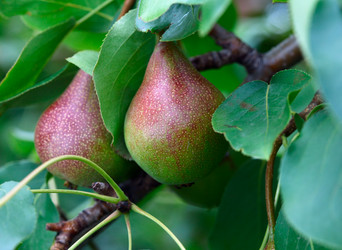 Similar image 522822