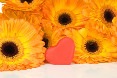 Similar image 522840