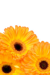 Similar image 522846