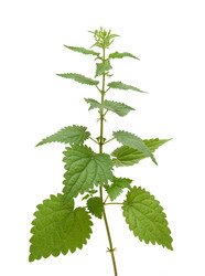 Similar image 522850