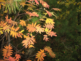 Similar image 522856