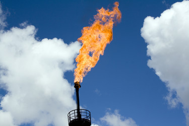 Similar image 522858