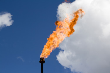 Similar image 522865