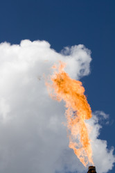 Similar image 522866