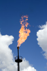 Similar image 522870