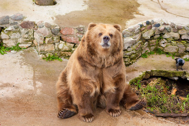 Similar image 522890