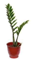 Similar image 522900