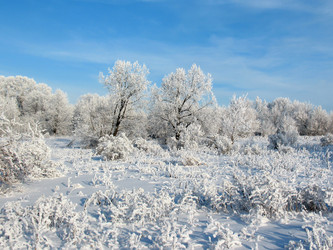 Similar image 522937