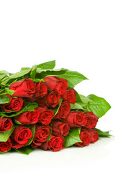 Similar image 523001