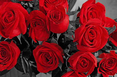 Similar image 523002