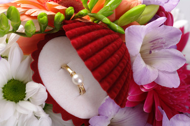 Similar image 523006