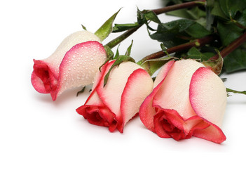 Similar image 523022