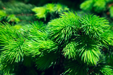 Similar image 523042