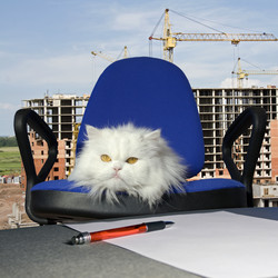 Similar image 523047