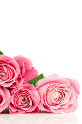 Similar image 523058