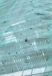 Similar image 523063