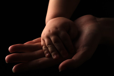 Similar image 523081