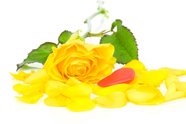 Similar image 523084