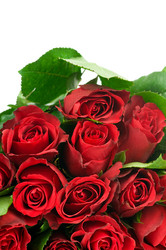 Similar image 523086