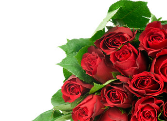 Similar image 523087