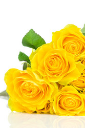 Similar image 523092