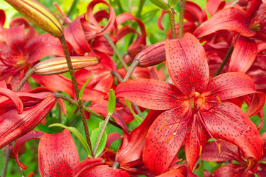 Similar image 523093