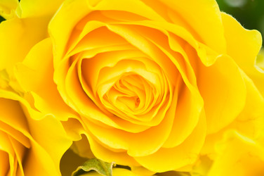 Similar image 523094