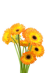 Similar image 523104