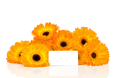 Similar image 523111