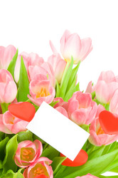 Similar image 523117