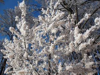 Similar image 523125