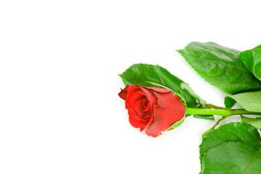 Similar image 523127