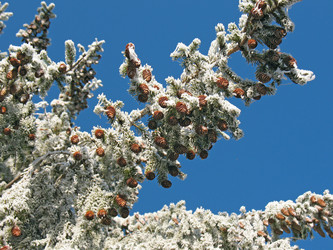 Similar image 523132