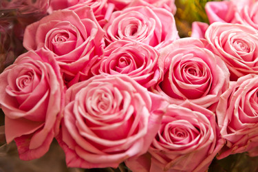 Similar image 523211