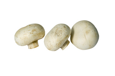 Similar image 523257