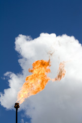 Similar image 523264