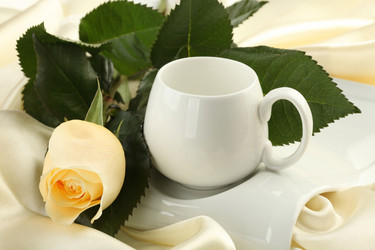 Similar image 523269